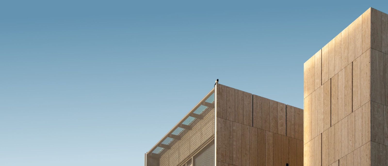 magpie on a building in front of a blue sky